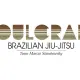 Soulcraft BJJ logo