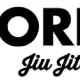 Origin BJJ Newcastle logo