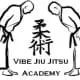 Vibe Jiu Jitsu Academy logo