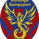 Borlange Kampsport logo