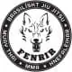 Fenrir MMA logo