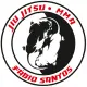 Team FS BJJ logo