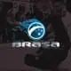 Brasa Team Holland Academy logo