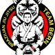 Brazilian Jiu Jitsu Team Bern logo