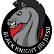 Black Knight BJJ logo