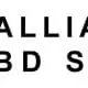 BJJ Alliance Black Dragon Split logo