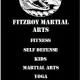 Fitzroy Martial arts logo