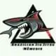 Brazilian Jiu Jitsu Nemesis logo