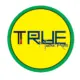True Martial Arts logo