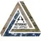 Veterans Jiu-Jitsu logo