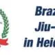 Brazilian Jiu Jitsu in Heidelberg logo
