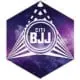 Citi BJJ logo