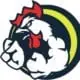 Brazilian Jiu Jitsu Einhausen logo