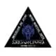 Darkwolf MMA logo