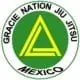 Gracie Nation Jiu Jitsu logo