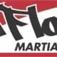 Roll ‘n Flow Academy logo