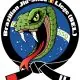 BJJ Liège logo