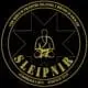 Sleipnir logo