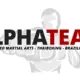 Alpha Team logo