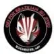 Oki Fox BJJ logo