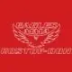 Eagles MMA – Rostov Don logo
