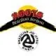 Roots BJJ Ohrid logo