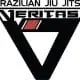 Veritas Brazilian Jiu Jitsu logo