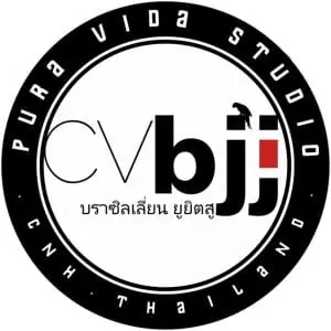 Pura Vida Studio logo