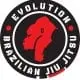 EVOLUTION BJJ logo