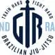 Grand Rapids Brazilian Jiu Jitsu Academy logo