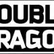 Double Dragon Martial Arts Gym logo