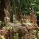 sabine-chiang-mai-thailand-cover