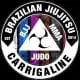 BJJ Carrigaline logo