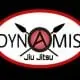 Dynamis Jiu Jitsu logo