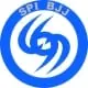 SPI BJJ & Fitness LLC logo