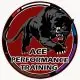 Ace Performance Training logo
