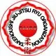 Takenoushi jiu jitsu logo
