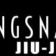 Kingsnake Jiu-Jitsu logo