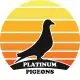 Platinum BJJ logo