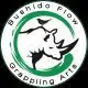 Bushido Flow Grappling Arts logo