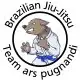 ars pugnandi Trainingscenter logo