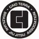 Caio Terra Academy Belgrade logo