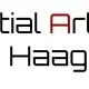 Martial Arts Center logo