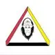 Hidden Swamp Martial arts Academy logo