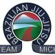 Team Michi logo
