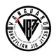 Vanguard BJJ logo