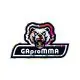 Georgia Pro MMA logo