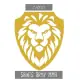 Saints Army MMA  logo