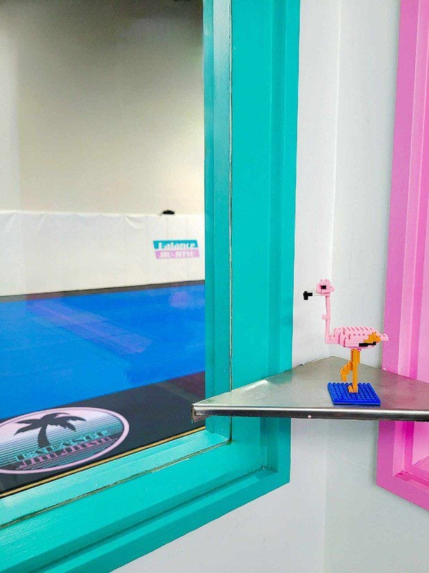 Balance Jiu-Jitsu, New Zealand