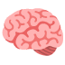 🧠